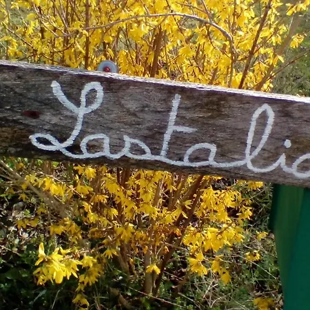 Lastalia